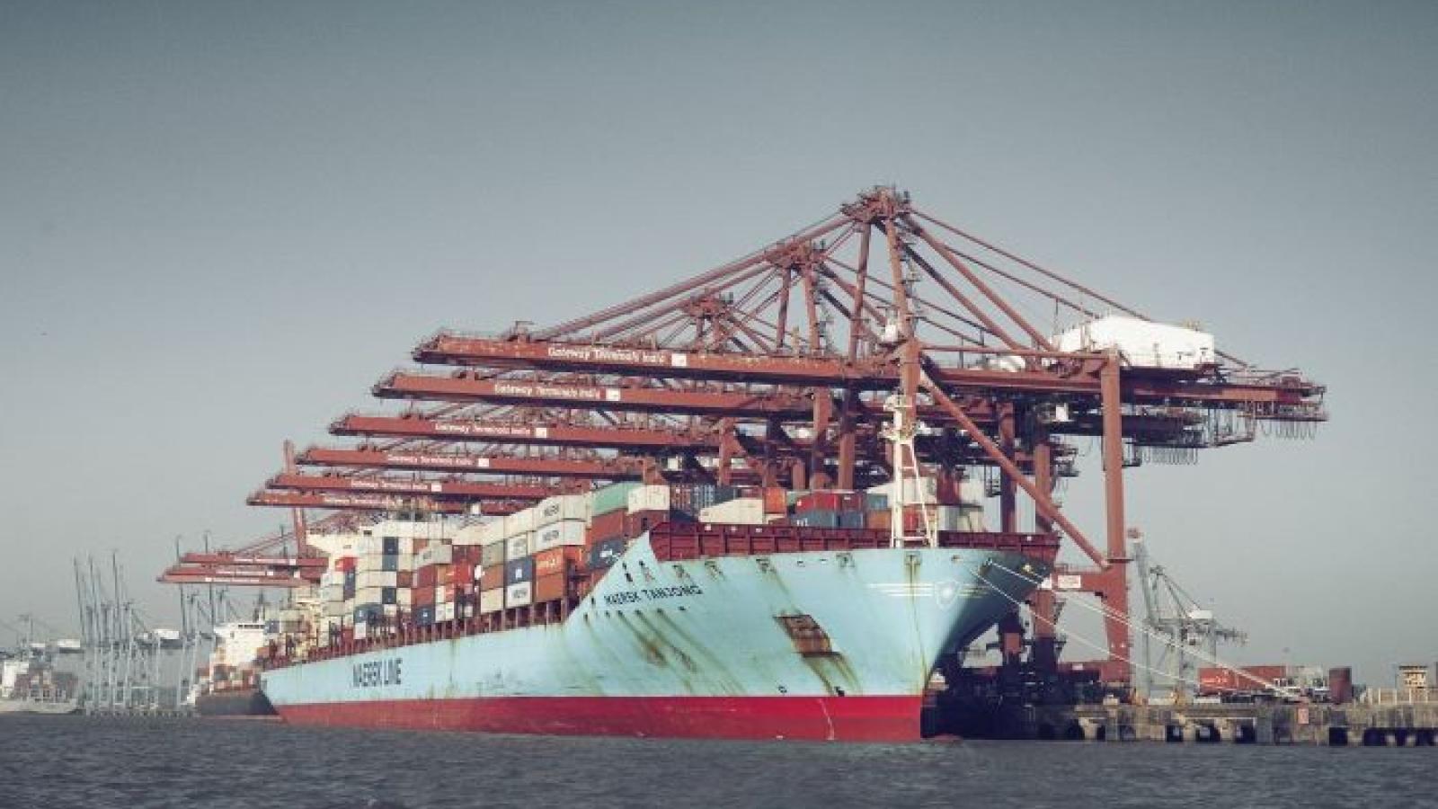 APMT Mumbai crane order comes amid Indian port volume growth